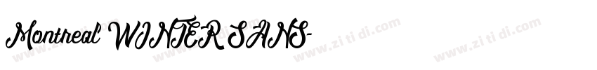Montreal WINTER SANS字体转换
